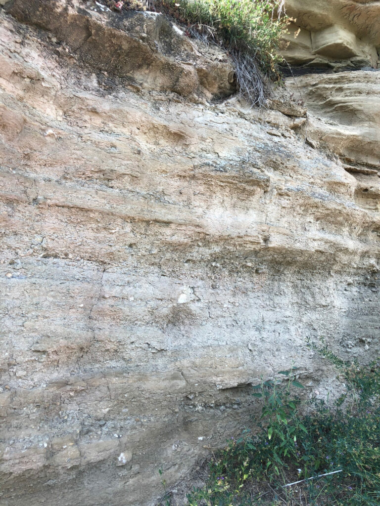 Rotliegend soils in Germany's Nahe winegrowing region