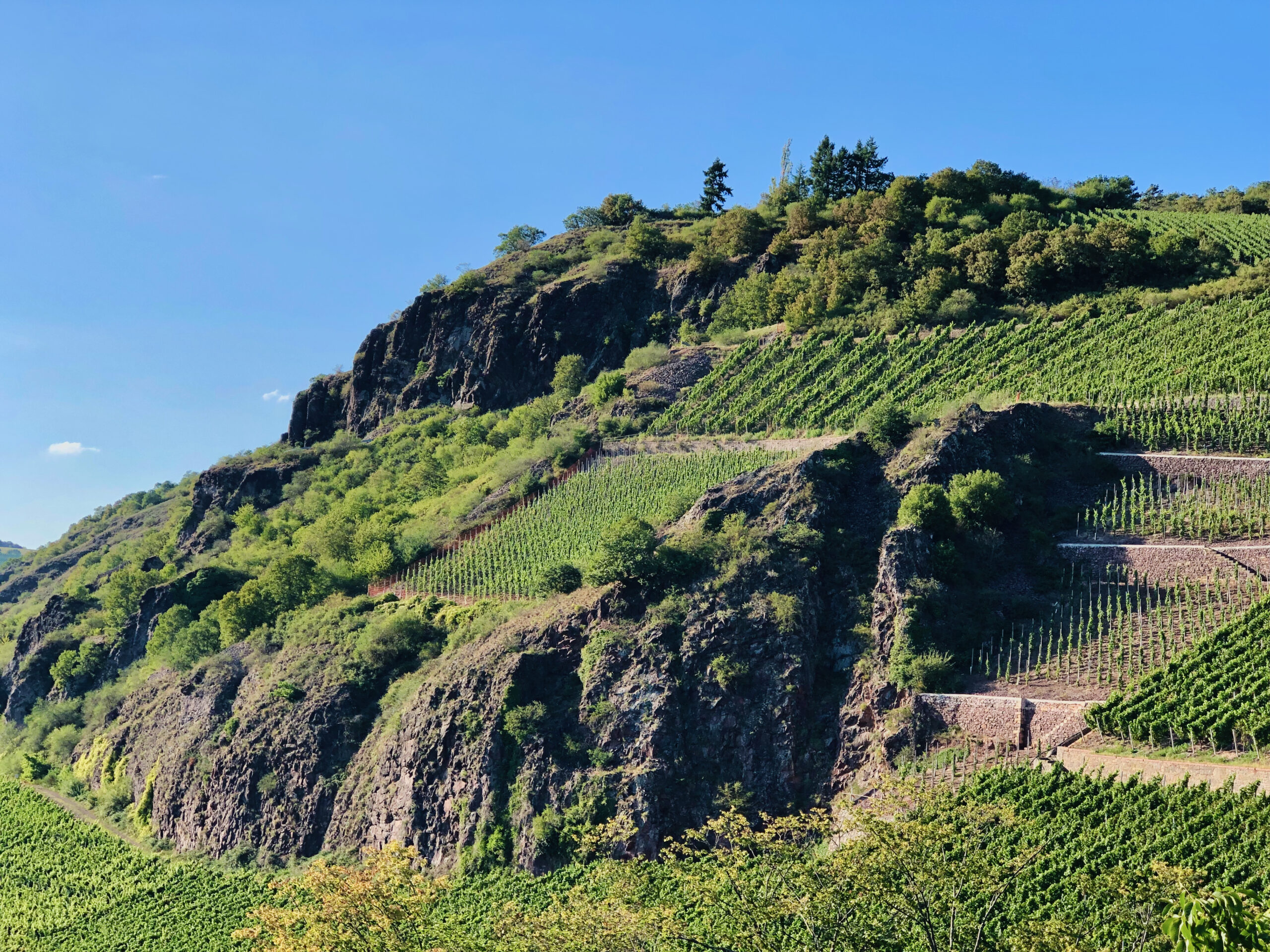Schlossböckelheimer Kupfergrube vineyard with volcanic melaphry soil in Germany's Nahe winegrowing region.
