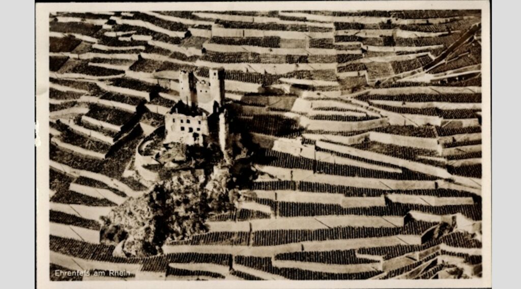 Terrraced vineyards surround a castle in this black and white photo of the Rheingau