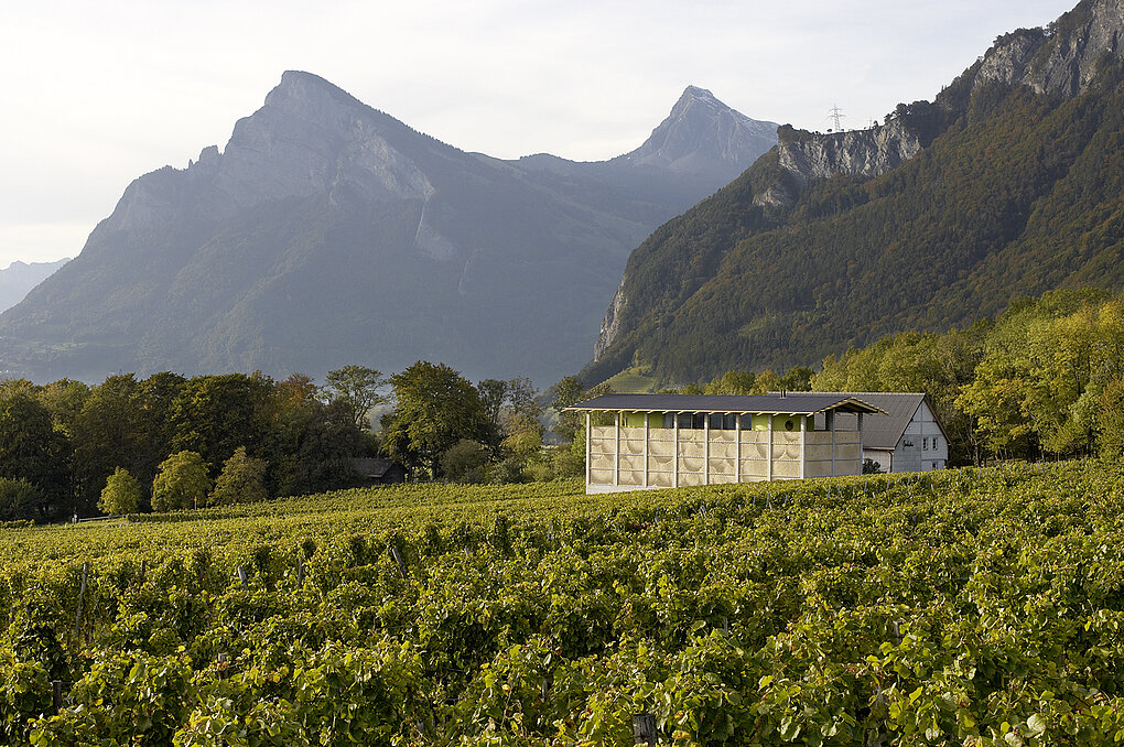 Vineyards, a low-slung modernist stone building in the mid-ground, and jagged, dark mountain peaks in the background against an overcast sky.