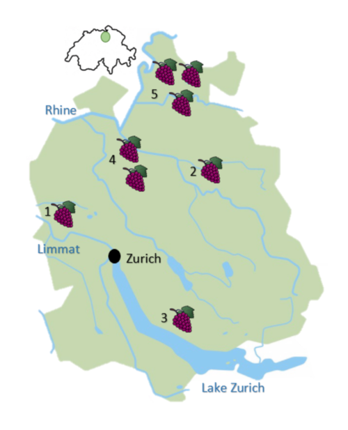 A basic map of the Canton of Zurich in Switzerland