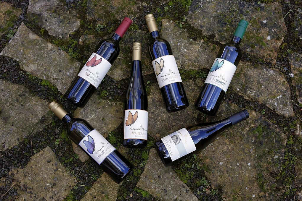 Six bottles of Weingut Wohlgemuth-Schnürr piwi wines on a stone and dirt path