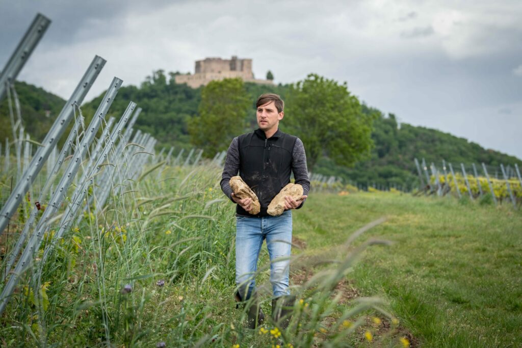 A photograph of Jonas Seckinger carrying the limestone rocks in his German Chardonnay vineyard