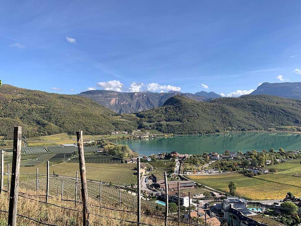 Surrounding mountains of alto adige around a green lake below vineyards