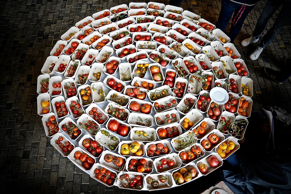 Spiral collection of dry-farmed tomato varieties such as Big Rainbow from Erich Stekovics in Burgenland featured in Austria's 2023 Koch-Campus.