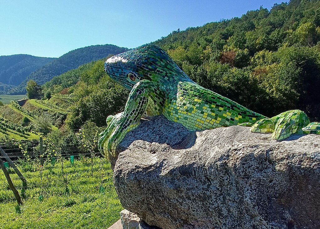 Photograph of the iconic green lizard from Austria's Wachau winegrowing region