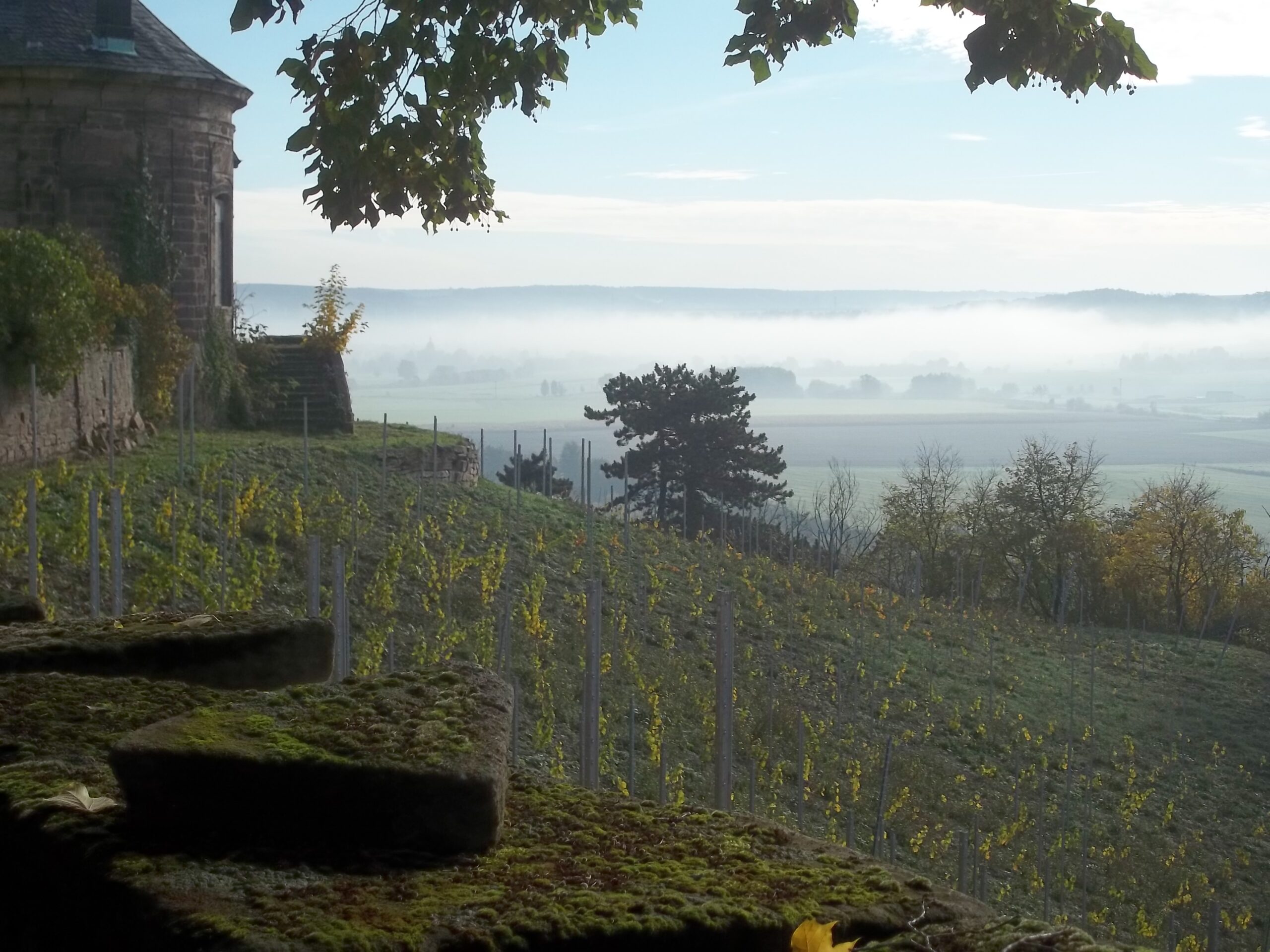 Small house at the top of the Vitzenburger Schlossberg vineyard in Saale-Unstrut