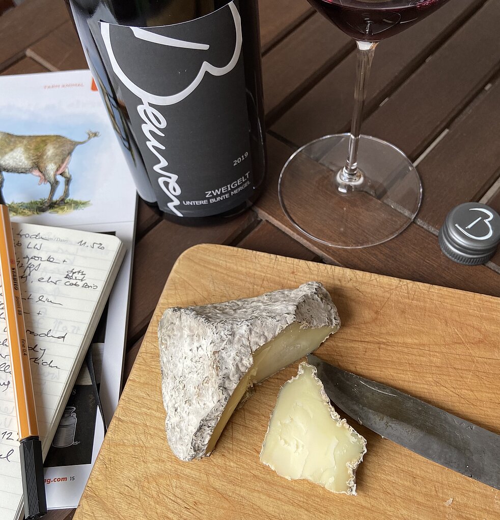 Scellebelle cheese with rind on wooden cutting board beside bottle of Beurer Zweigelt and red wine glass and notebook