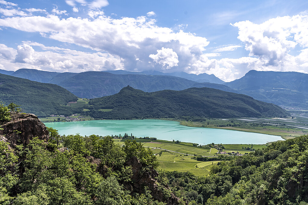 Lake Kalterersee, Alto Adige seen from above surrounded by vineyards and mountains