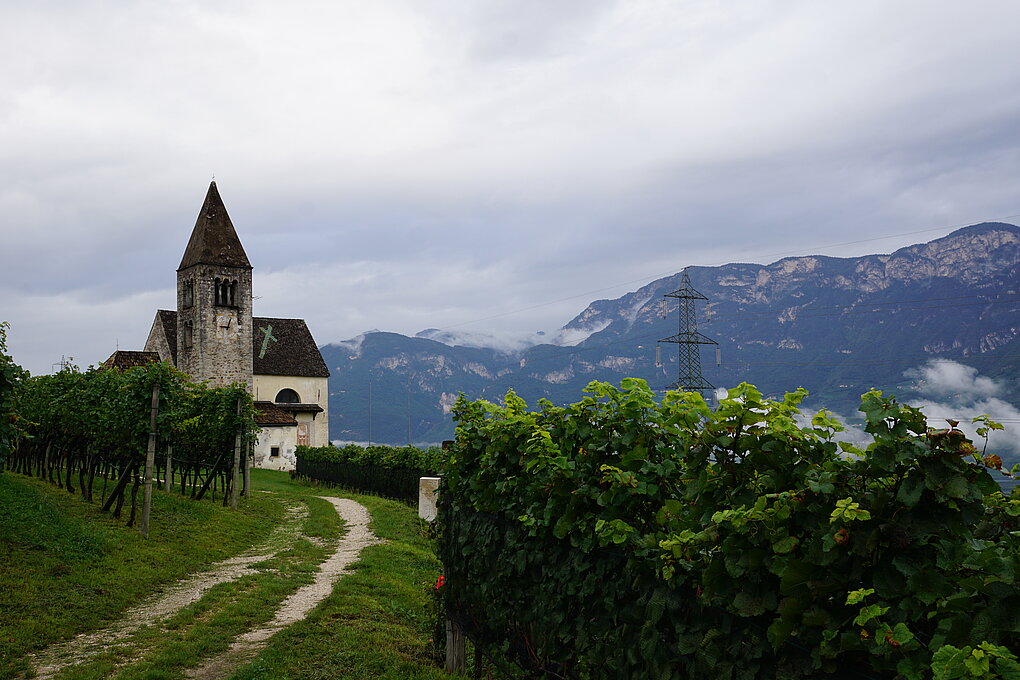 Steepled church among vineyards overlooking mountains of Alto Adige