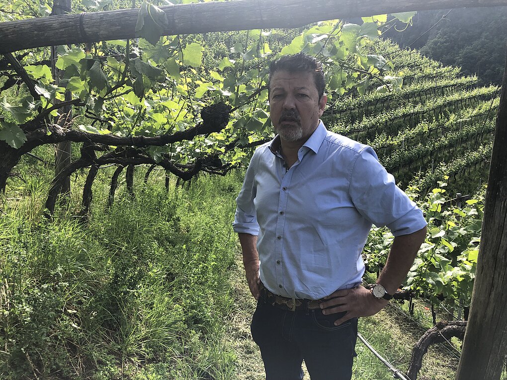 Klaus Gasser of Kellerei Terlan stands below the pergola trained vines of Vorberg in Alto Adige.