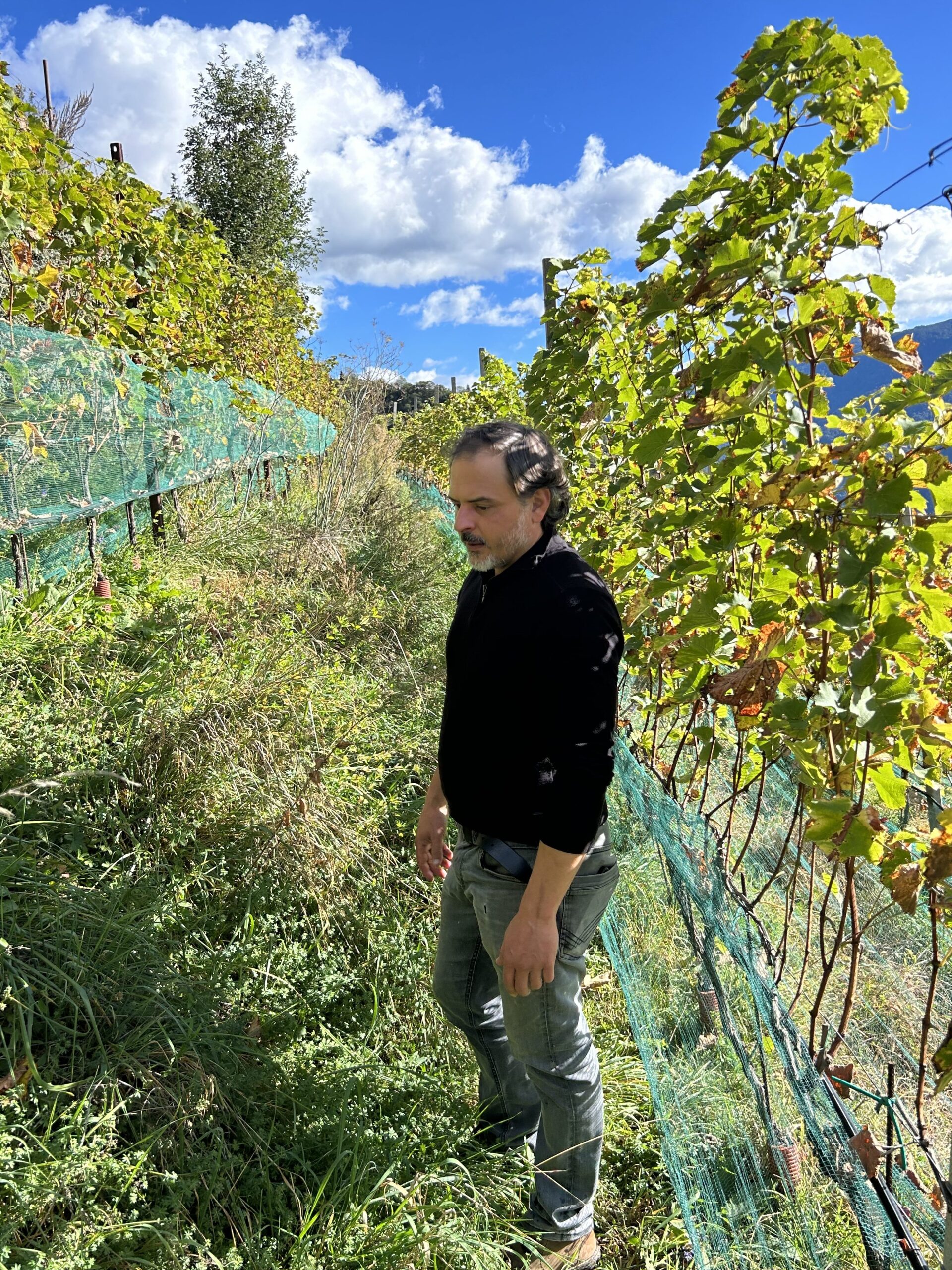Dominic Würth in the vineyards of GraWü