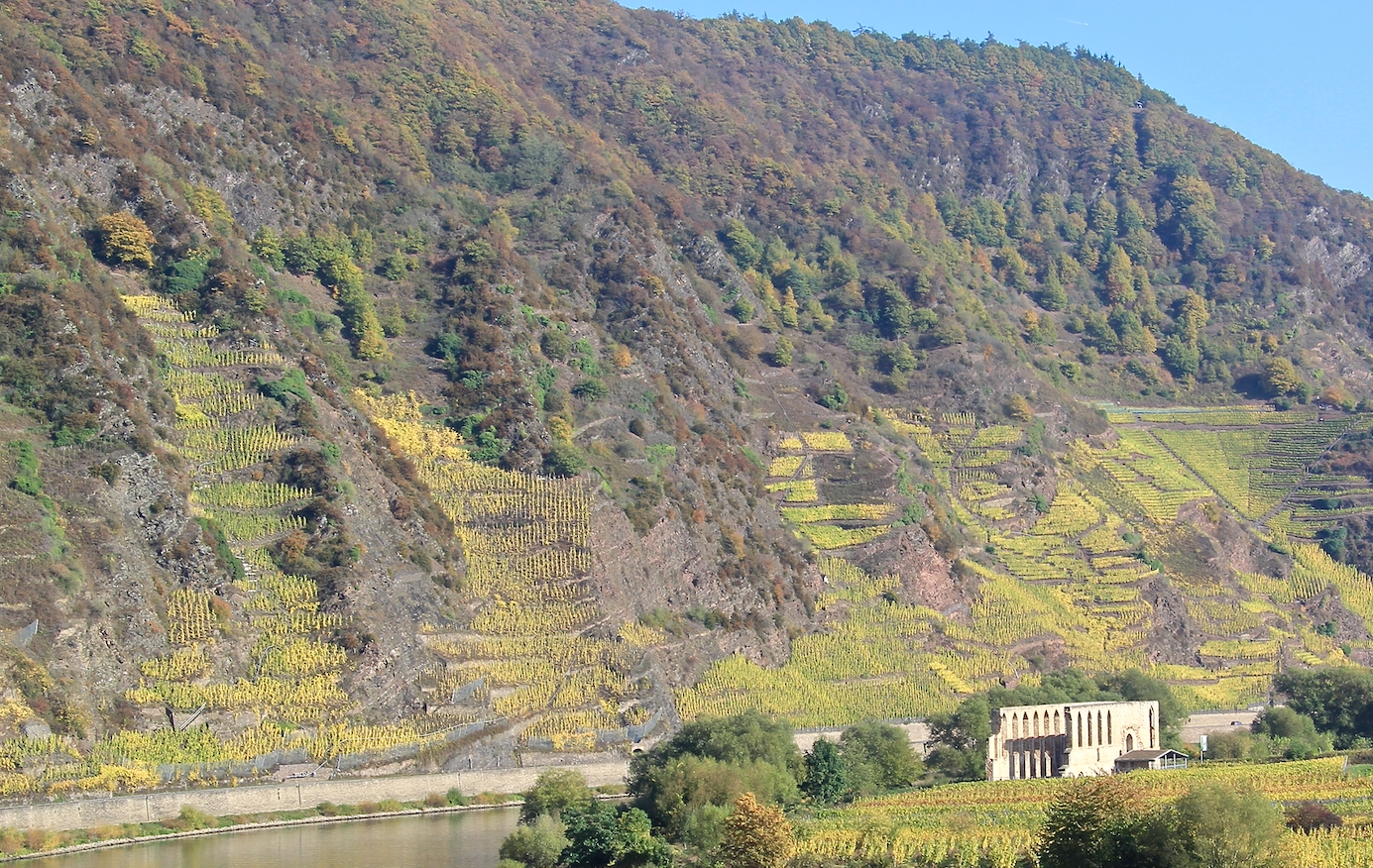 Steep vineyard terraces rise above the Mosel river.