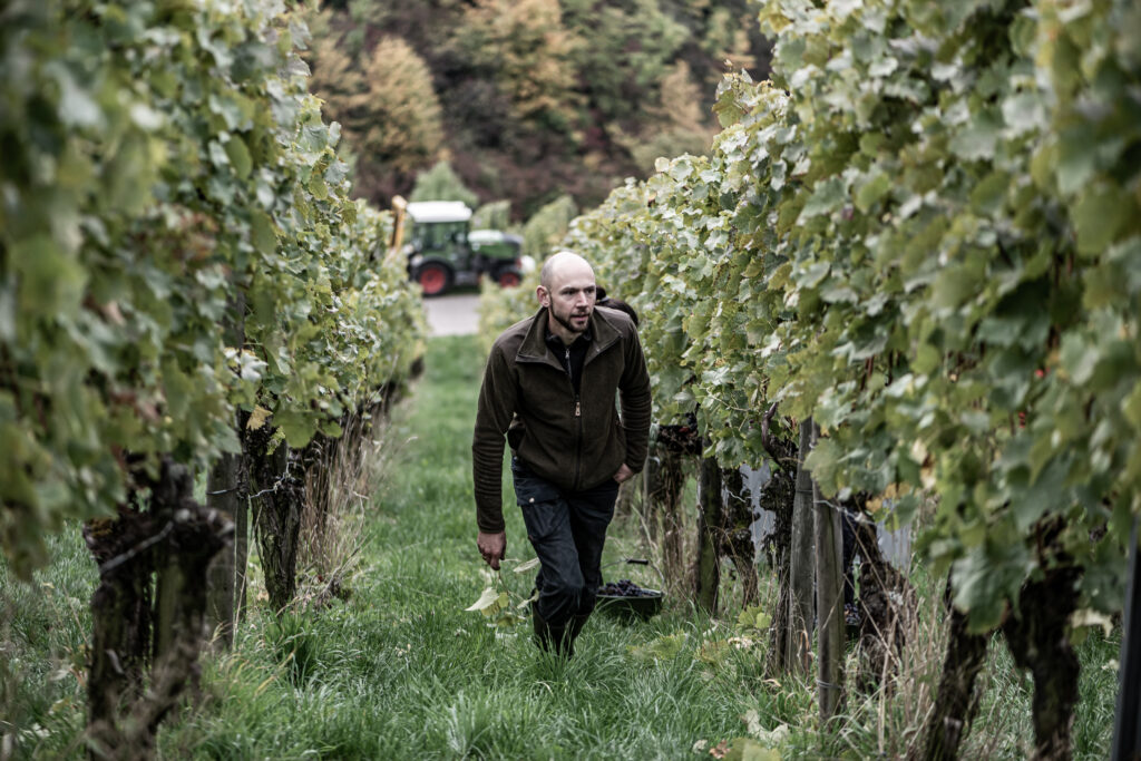 Marcel Idler in his Trollinger vineyard.