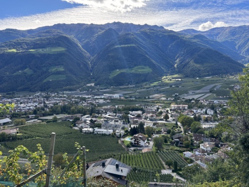 A view of vineyards and mountains in Südtirol-Alto Adige (aka South Tyrol).