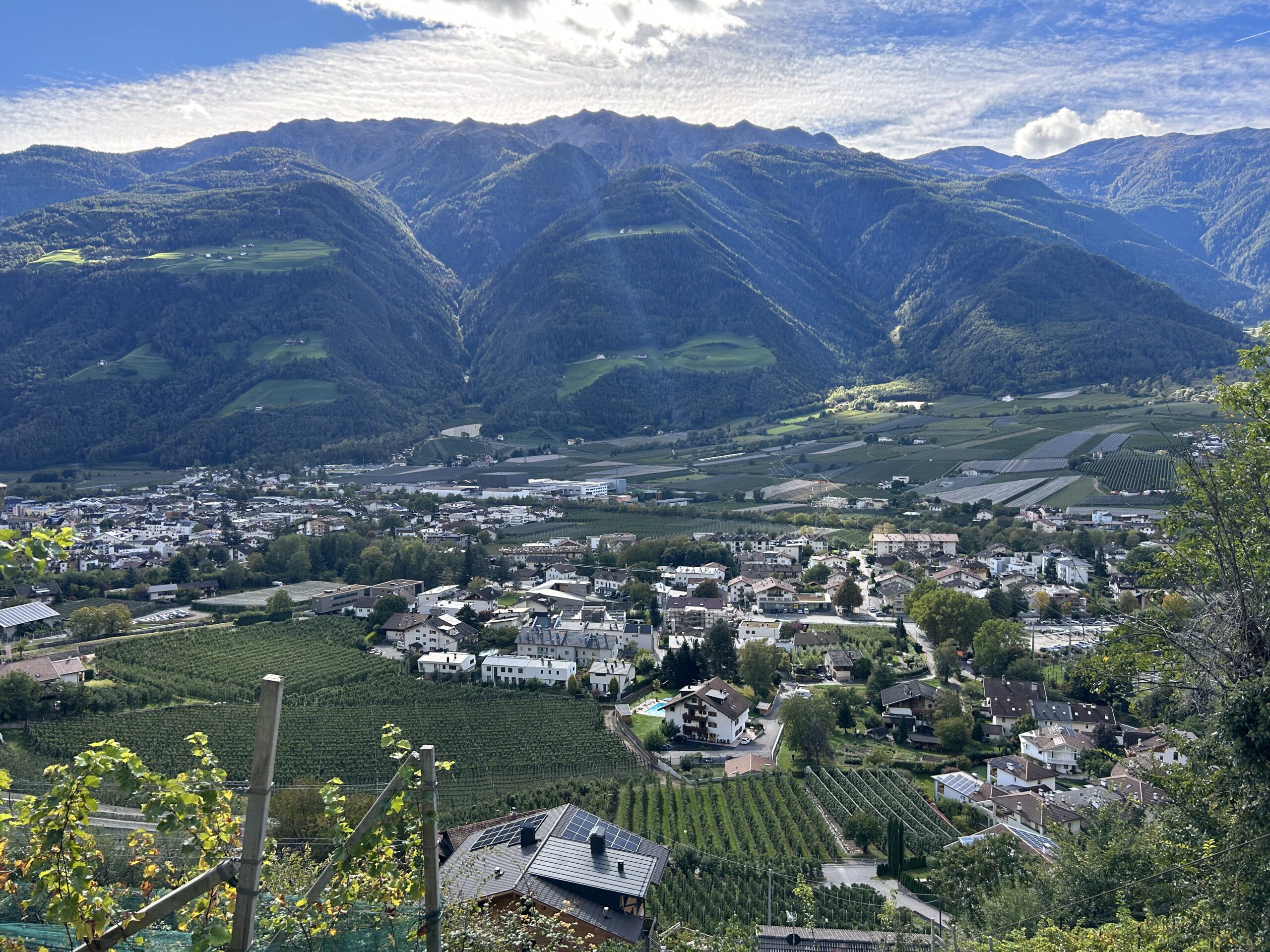 A view of vineyards and mountains in Südtirol-Alto Adige (aka South Tyrol).