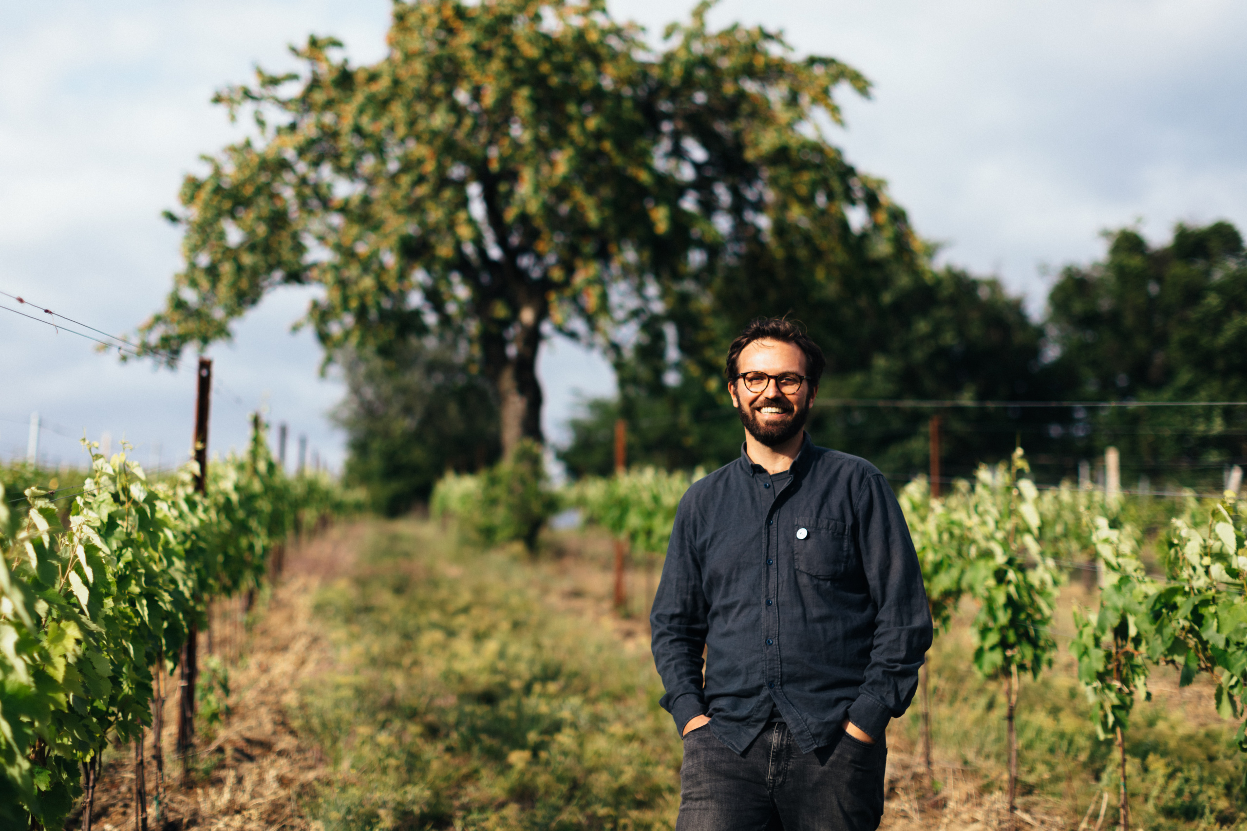 Hungarian winemaker Weninger stands in his organic vineyard