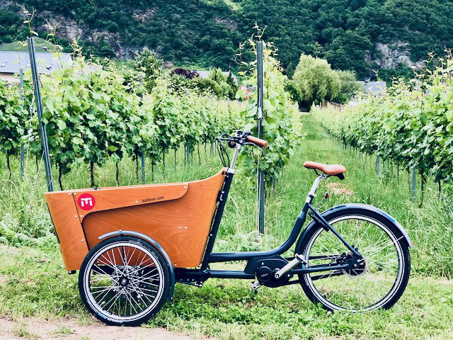 A bicycle with a cart attached to the front is parked at the top of a steep, verant vineyard.