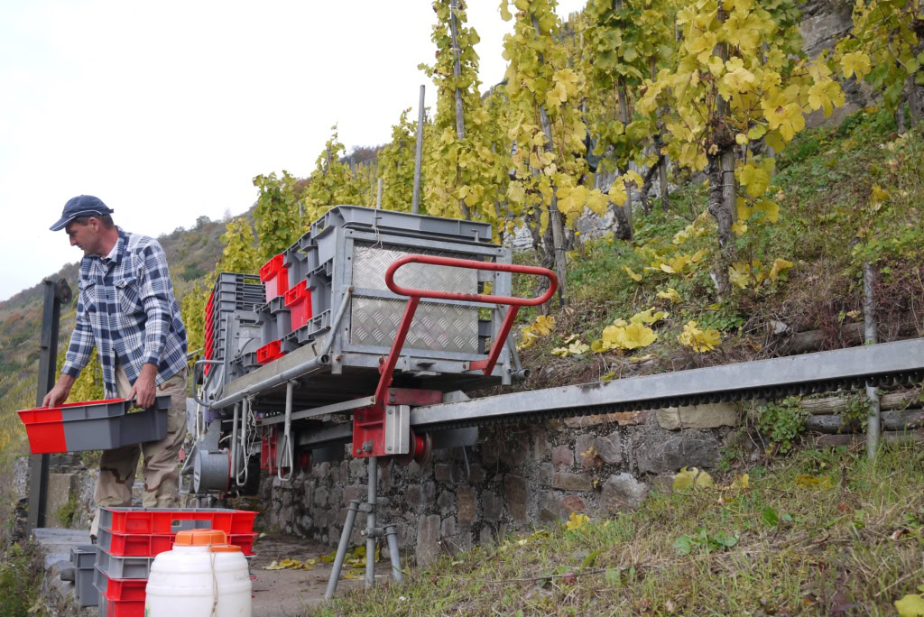 A monorail in the Mosel vineyards carrying empty harvest bins