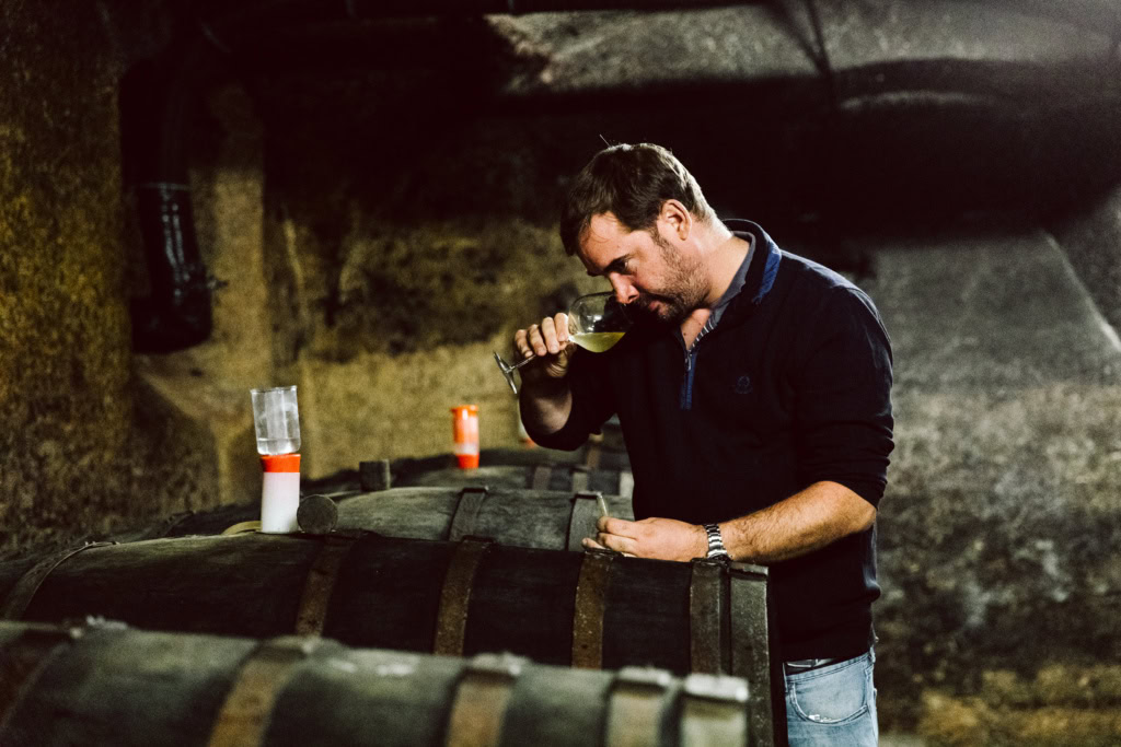 Max von Kunow sniffs a glass drawn from a barrell sample in an old cask cellar.