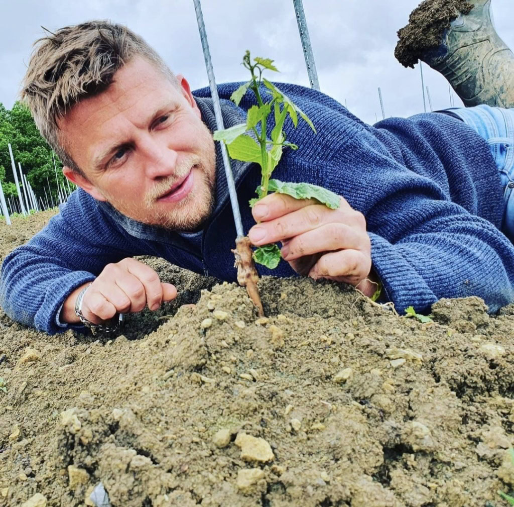 Christian Ottenbreit lies on bare soil admiring a newly planted vine