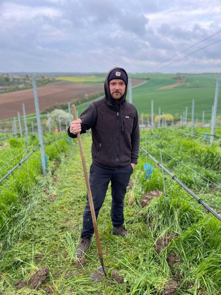 A man stands in a vineyard with a hoodie and a stick.