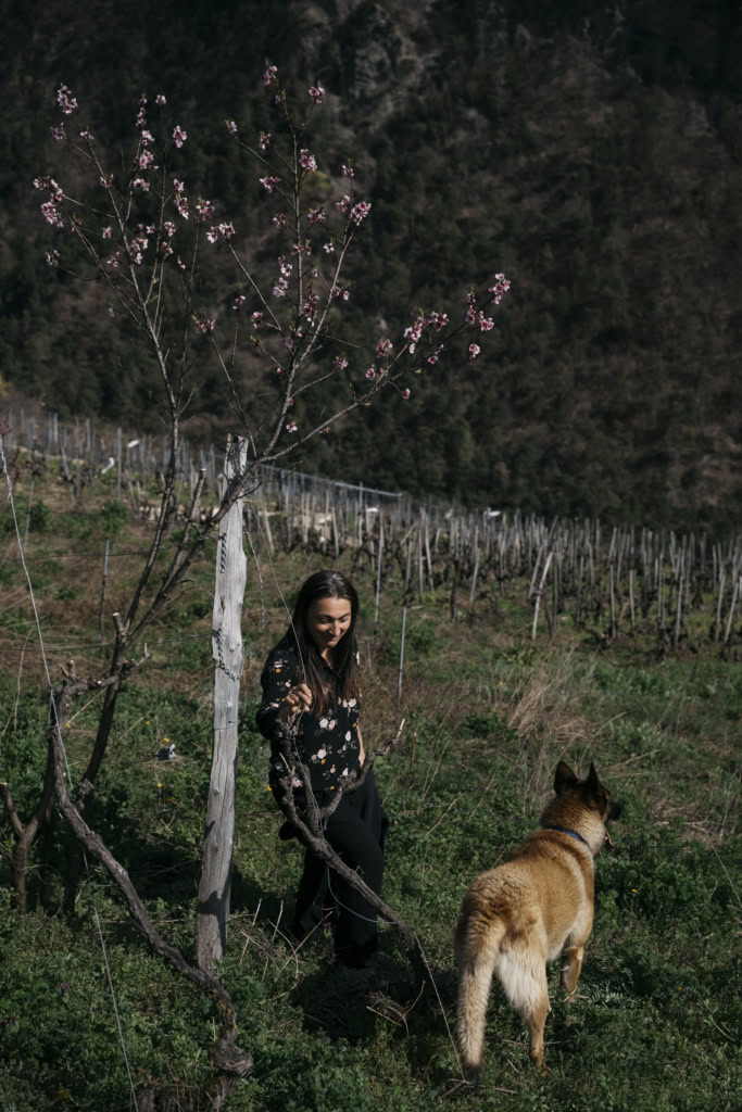 Romaine Schmitt stands on a sloping vineyard with her dog