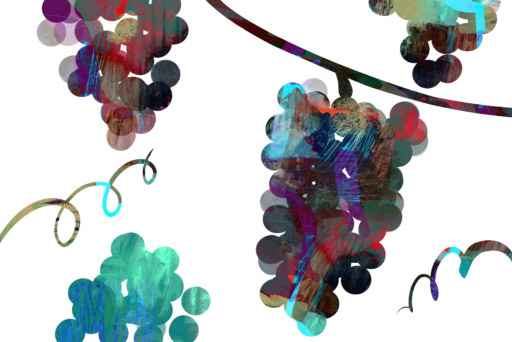 Digital image of pinot noir grapes layered