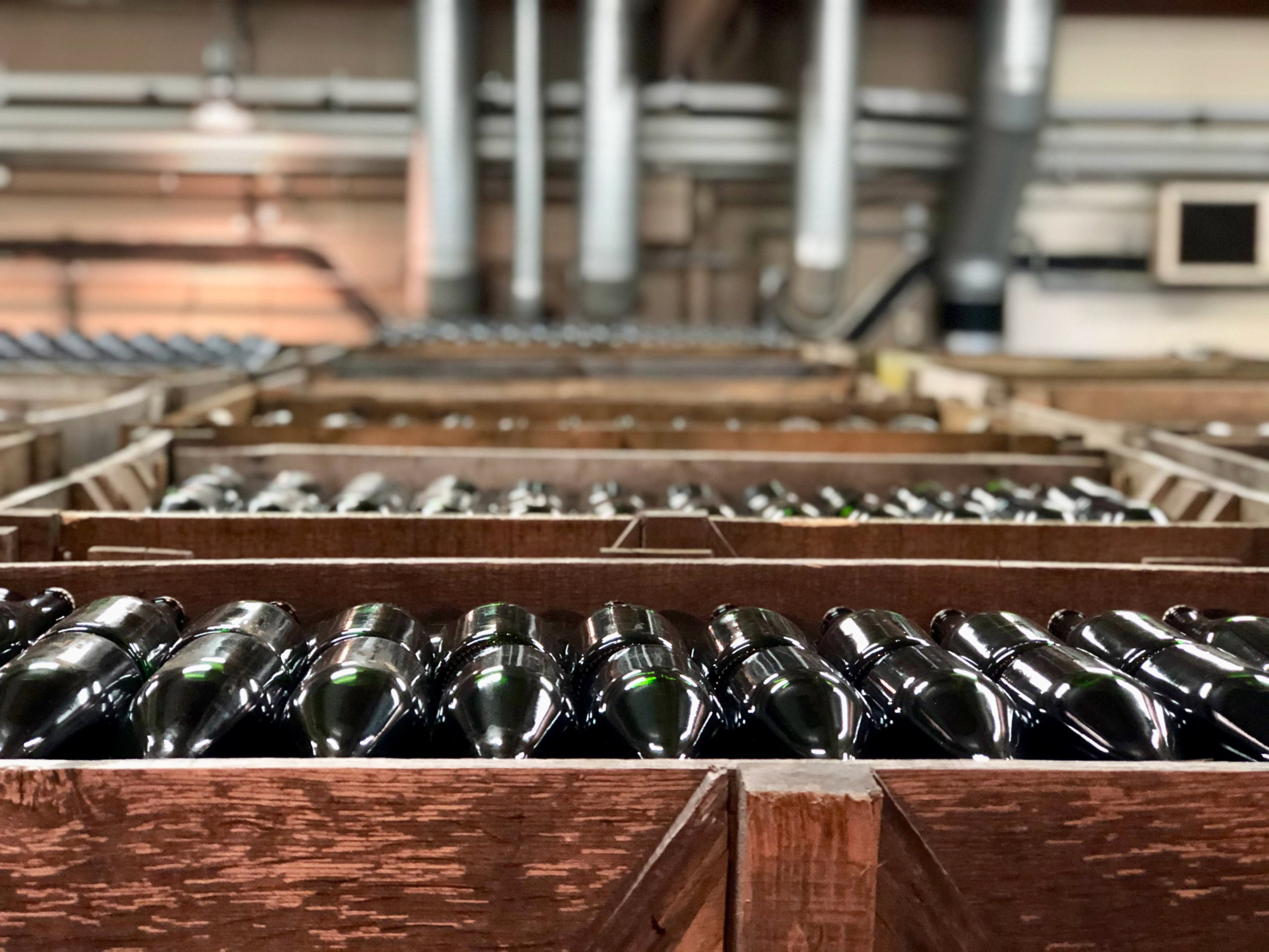 sekt bottles waiting to be riddled