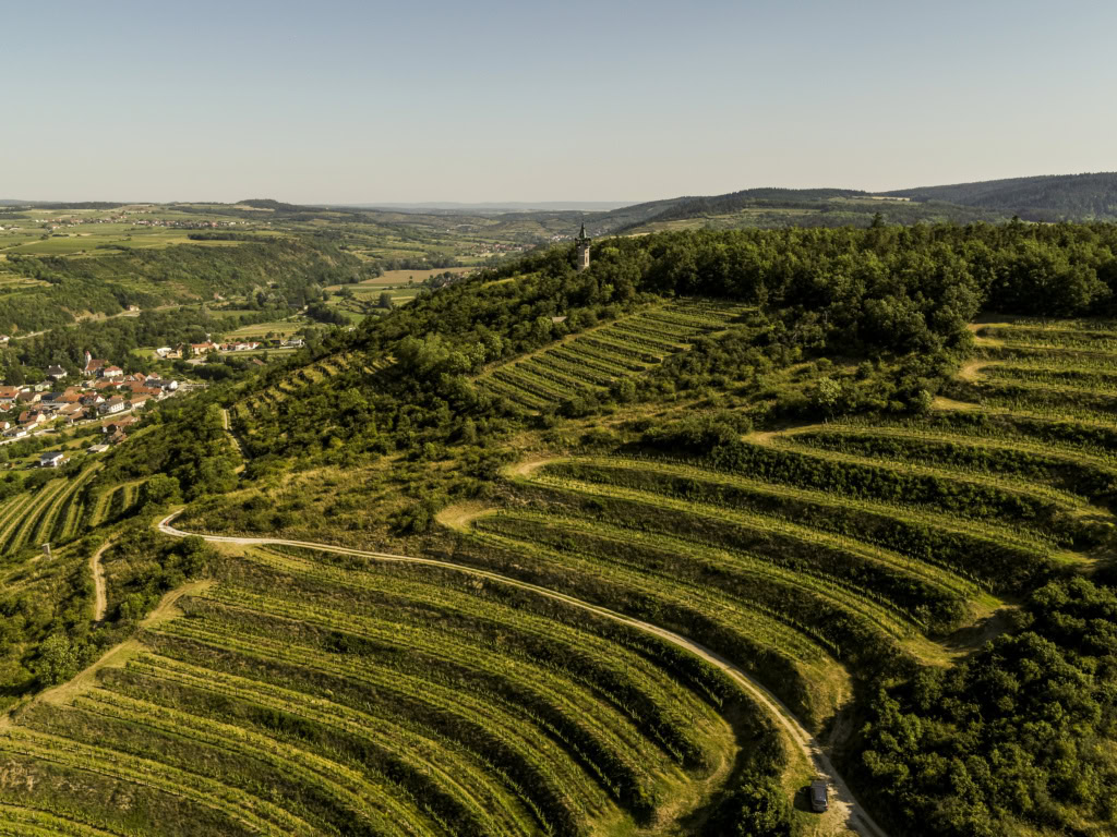 Terraced rows of Heigenstein vineyard in Austria