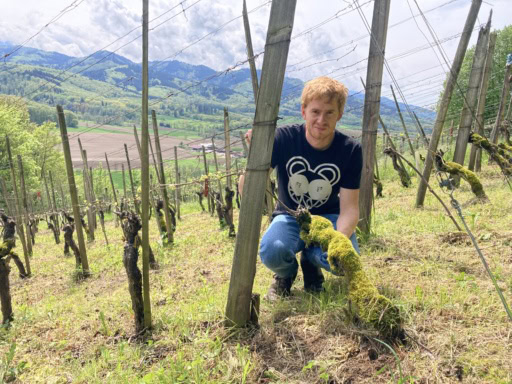 Jakob Moise crouches in his vineyards on the Kaiserstuhl, photo credit: Jakob Moise