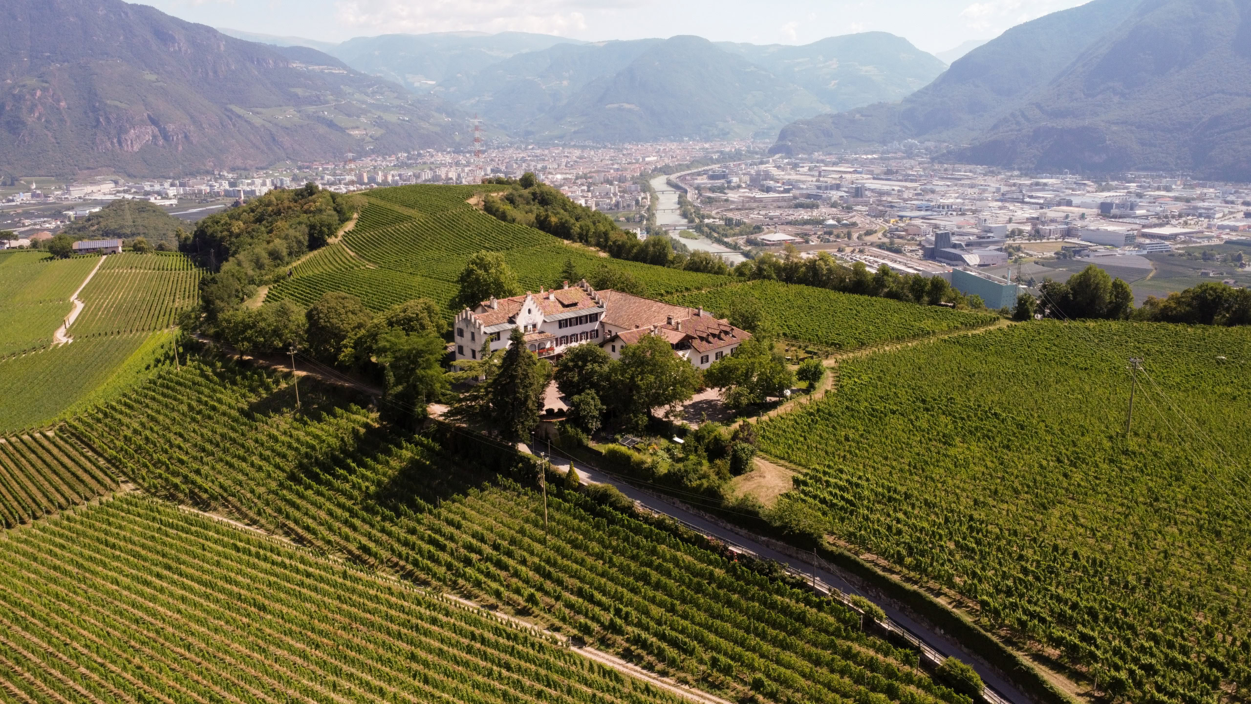 A vineyard in the countryside with a house on top.