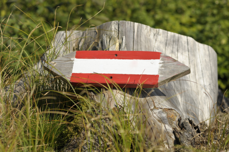 A red and white sign on a tree stump.